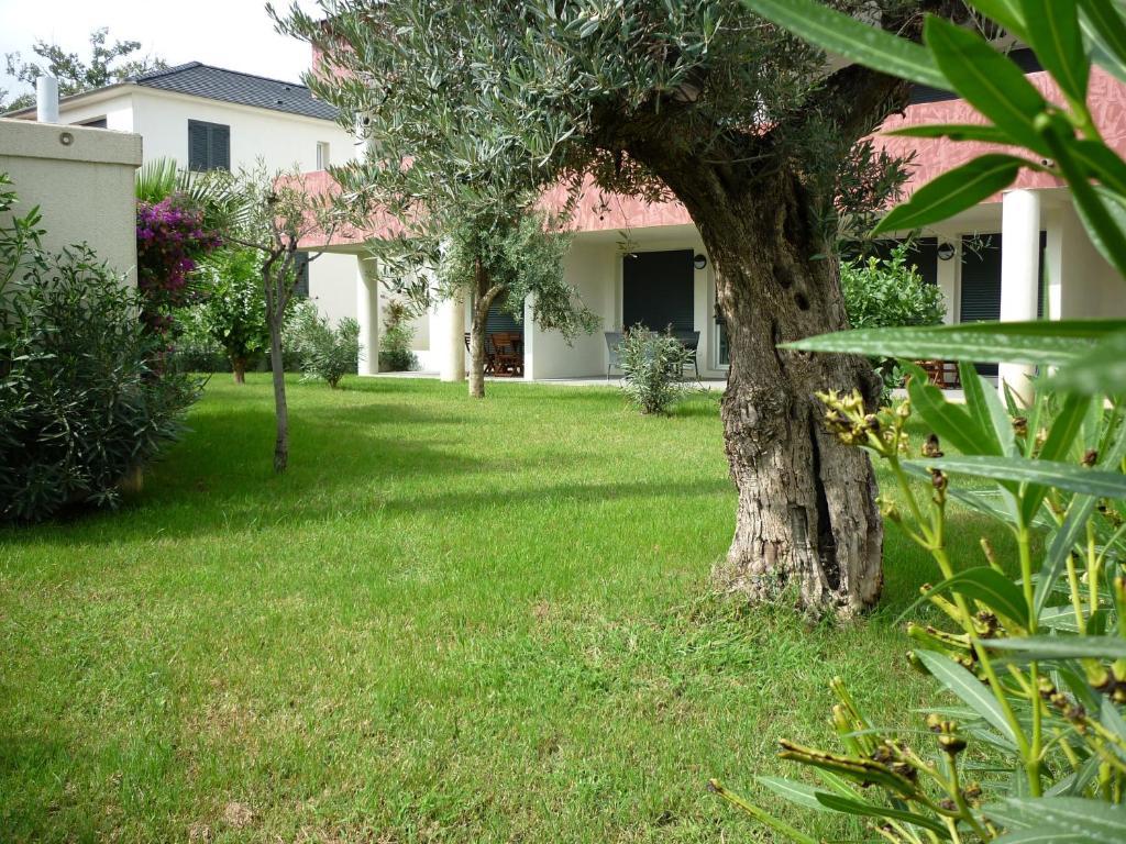 Residence Marea Resort Санта-Лусия-ди-Мориани Екстериор снимка