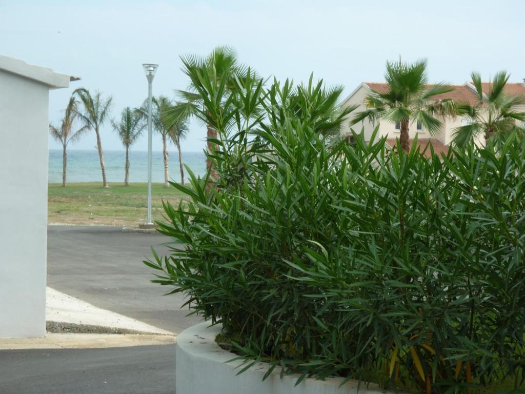 Residence Marea Resort Санта-Лусия-ди-Мориани Екстериор снимка